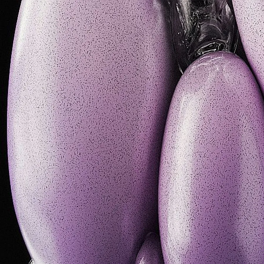 texte alternatif exemple